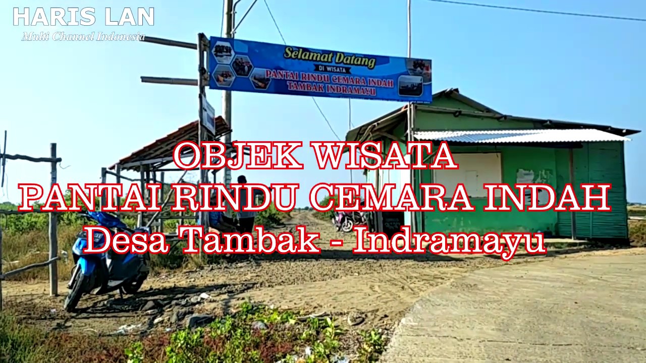 Wisata Pantai Rindu Cemara Indah Tambak Indramayu