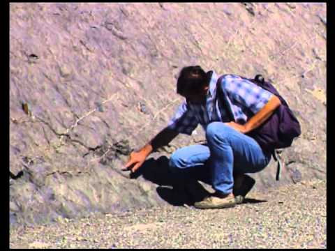 Video: Geologen Haben Eine Neue Theorie Zum Erscheinungsbild Des Yamal-Kraters - Alternative Ansicht