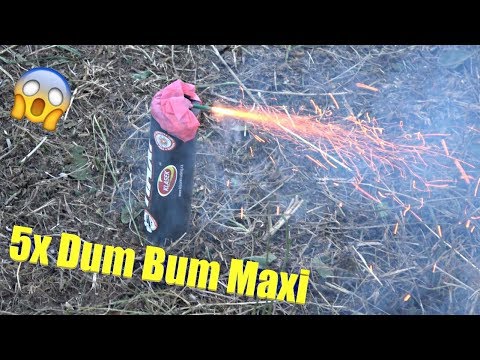 5x DUM BUM