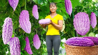 Harvesting Melons Goes To Market Sell  Wood Floor Painting | Phuong Daily Harvesting