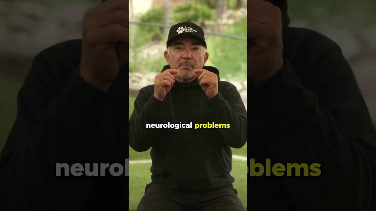 Cesar Millan
