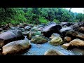 Deep Sleep River Sounds Flowing Gently Past Smooth Sand and Rounded Rocks