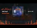 Bivafaiani Shar Shabir Sayad بی وفائیانی شهر شبیر سید 