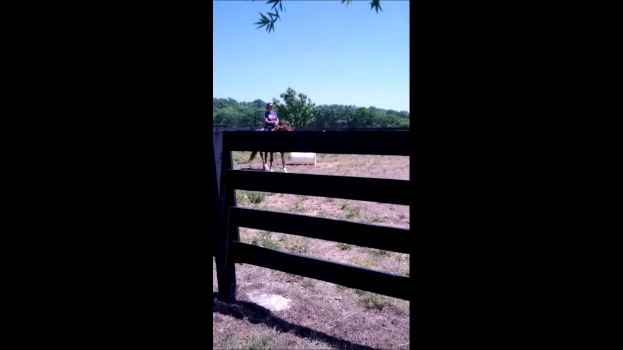 First time on a horse :)