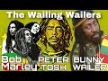 Capture de la vidéo Bob Marley Movie Critics Say The Movie Was Too Short To Mention Peter Tosh & Bunny Wailer