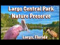 Largo central park nature preserve  largo florida  park series
