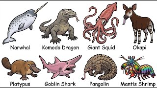 Every Real Animal Behind A Mythical Creature Explained