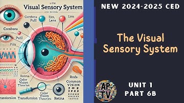 🎯The Visual Sensory System | AP Psychology🎯