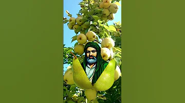 حبك عذب سيد مرتضى الموسوي 
