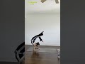 Top Flexible girl. Yoga position. Splits for Stretching and Flexibility. #shorts