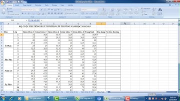 Kĩ năng Excel 6: Cách sử dụng Hàm RANK để xếp hạng kết quả theo điểm trong Excel