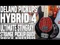 Delano hybrid 4  ultimate stingray strange pickup guide 2022 edition  lowendlobster builds