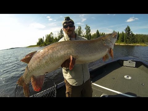 Giant Musky Throws JR In The Lake.