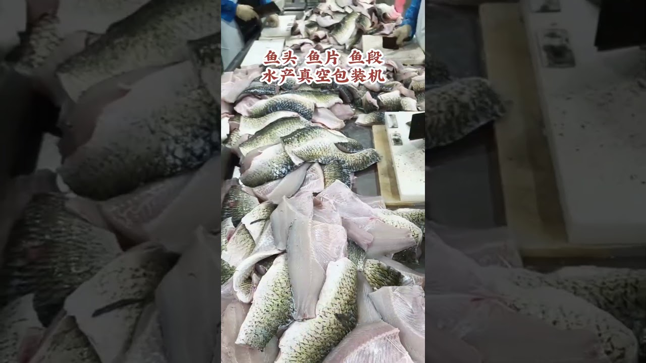 Seafood Double Chamber Vacuum Packaging Machine. 