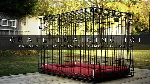Crate Training 101 Presented By MidWest Homes For Pets