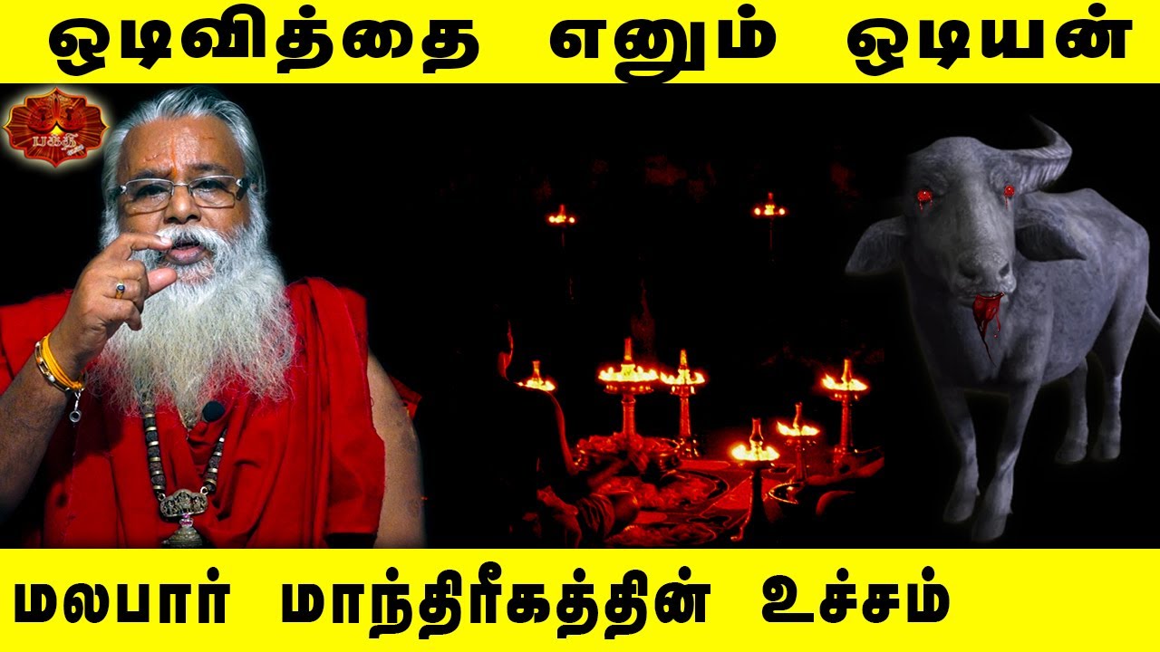 மலபார்  மாந்திரீகத்தின் உச்சம் ஒடியன் எனும் ஒடிவித்தை | Brammasri Annasamy  Latest Speech on Odiyan