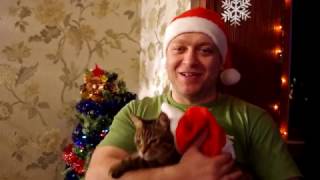 Новогоднее поздравление + бонус рецепт Креветки в кляре Новогоднее поздравление + бонус рецепт Креветки в кляре