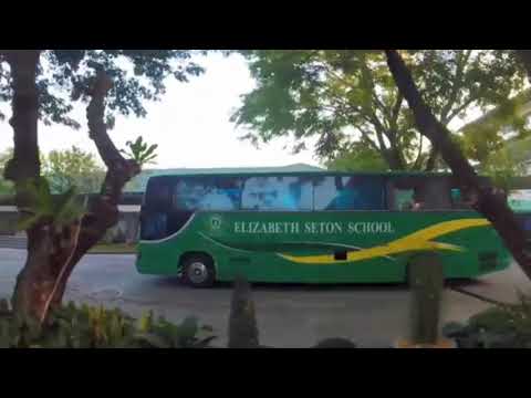 Elizabeth Seton School avp