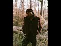 [FREE] plaqueboymax + tana sample type beat - "bushes of love"