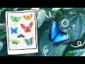 Painting ALL the BUTTERFLIES!! 🦋✨ - Arteza Gouache