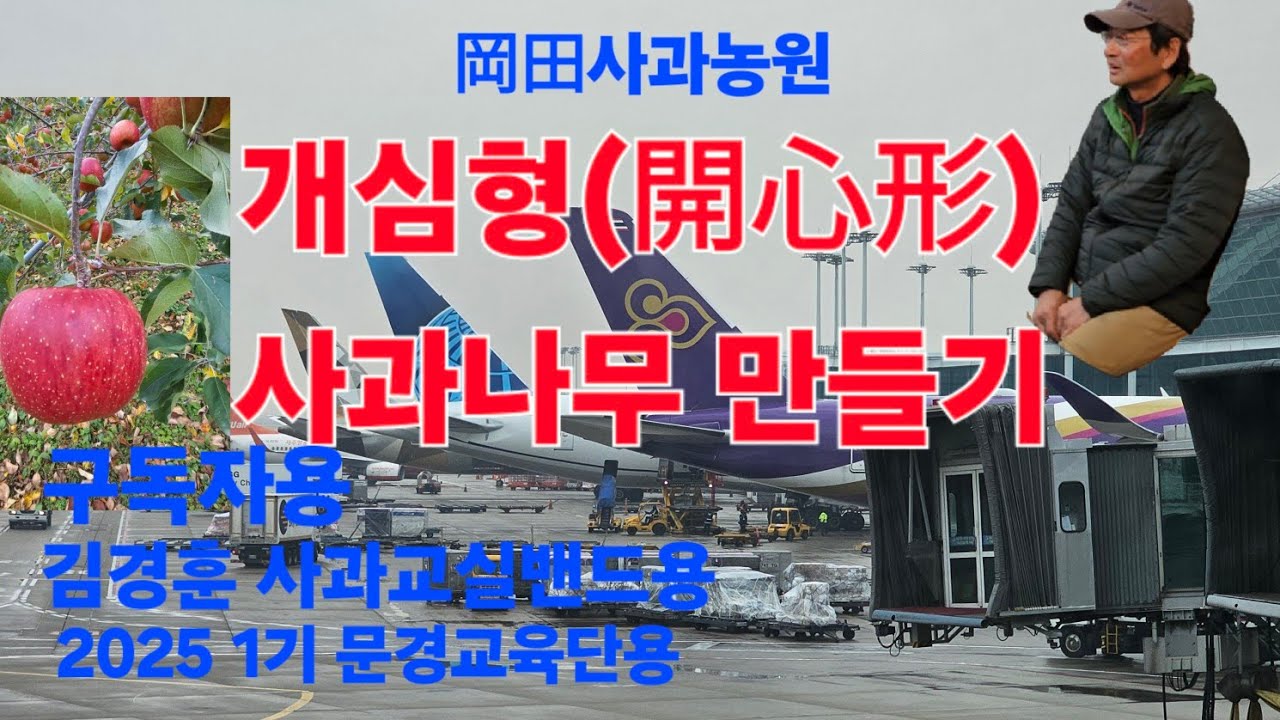 Делаем яблоню в форме сердца #MungyeongApples #HeartShape #JapaneseKurodaTeacher #JapaneseOkadaTe...