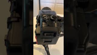 IMG 4009 1