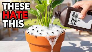 7 Things Exterminators Don't Want You to Know About Hydrogen Peroxide
