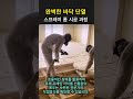 전문가의 스프레이 폼 단열 작업 현장 #worker #process #tools #machinery #building