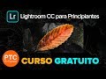 Lightroom CC para Principiantes – Curso Completo Gratis – Tutoriales de Lightroom CC 2018 en Español