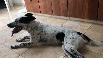 Headline on youtube - EAST processing