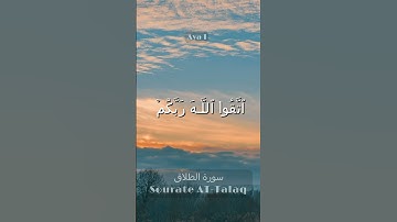 Sourate At-talaq -  سورة الطلاق l Sheikh Saad Al Ghamdi #short