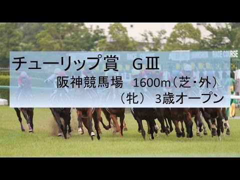 2017年　チューリップ賞　GⅢ　データ分析・傾向