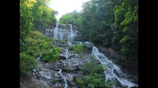 Amicalola Falls, GA!
