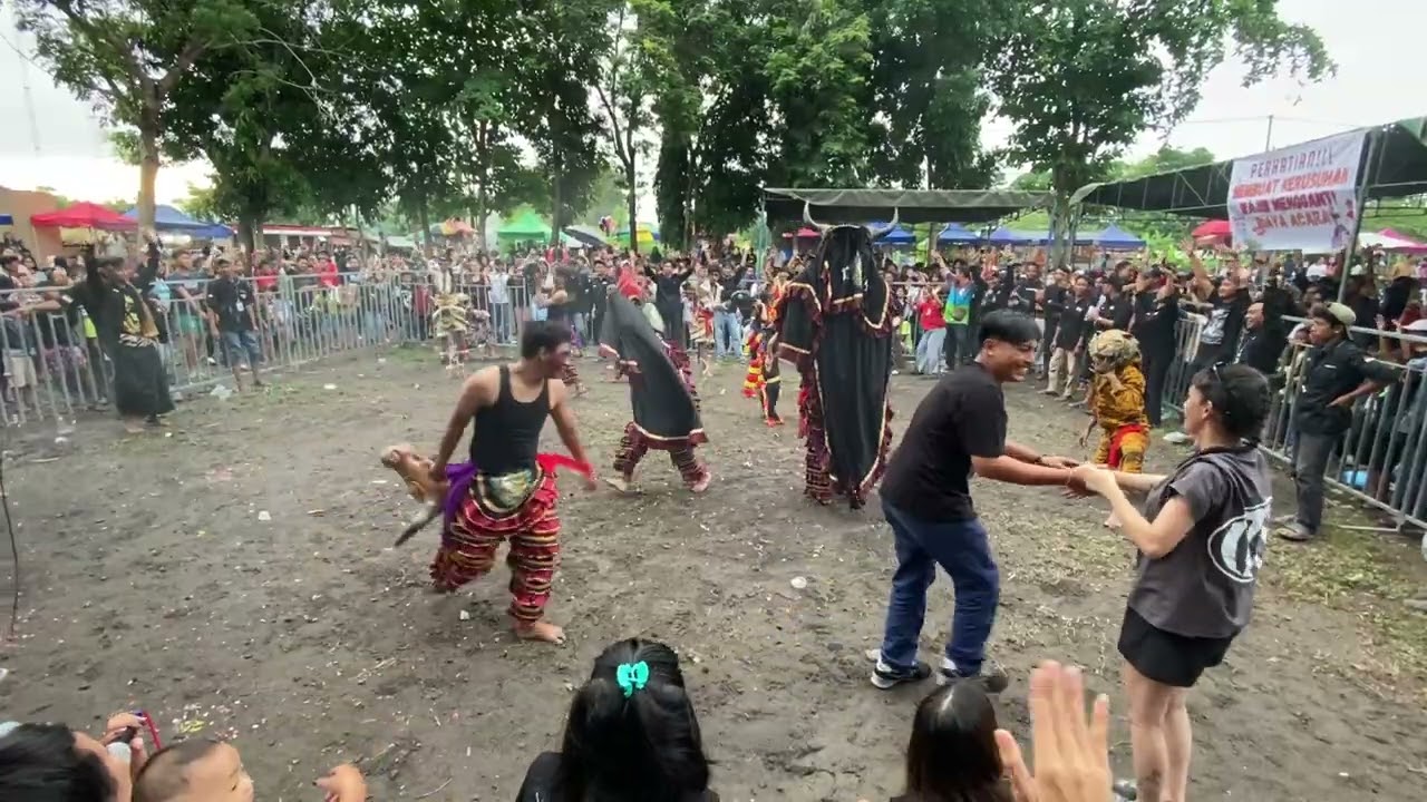 Kewan Alas Live Mlati