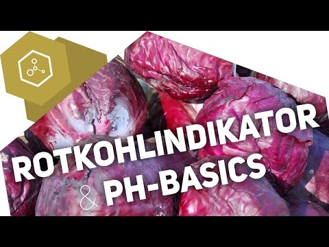 Wie funktioniert der Rotkohlindikator? + pH-Basics
