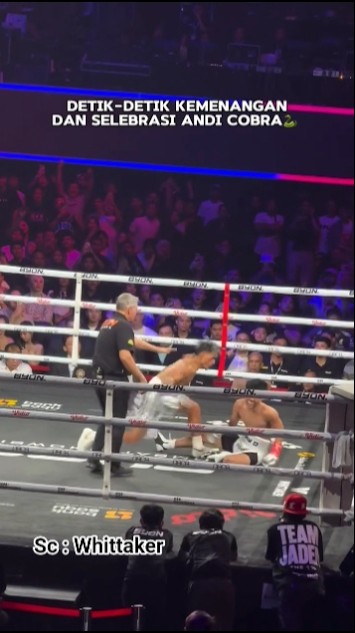 KALAHKAN JADEN BAHTERA ANDI COBRA RAIH GELAR ICB #byoncombat