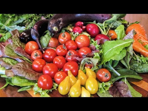 Eat Real, Lose Weight