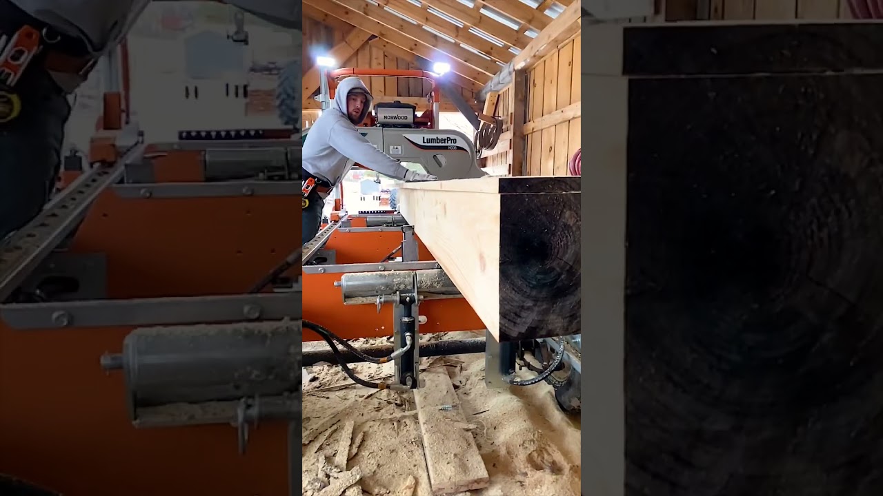 Satisfying sawmill cutting through beautiful wood! 