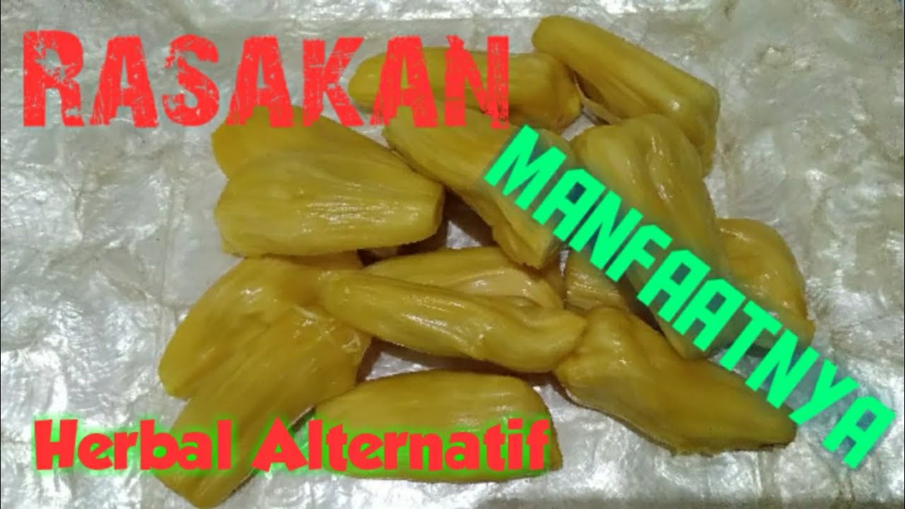 7 Manfaat  Buah Nangka  Untuk  Kesehatan Tubuh YouTube