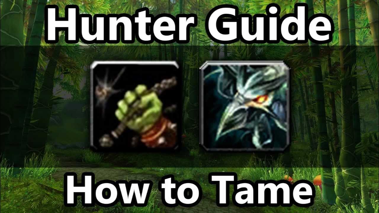 Guide How to use "Tame Beast" YouTube