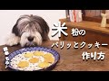 犬おやつ手作りレシピ|米粉のパリッとクッキーの作り方【もふ飯】