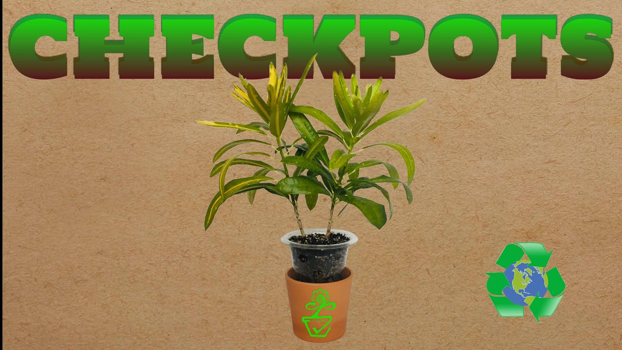 Checkpots - A Tool For New Growers