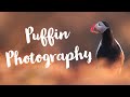 Bird Photography | Puffins on an Island out in sea