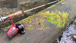 秋の山奥はイワナさんのパラダイス！ ヒットシーンてんこ盛り 【北海道 渓流ルアー】 Hokkaido.Mountain Stream Lure Fishing.