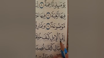 شرح أحكام التجويد ل سورة  الغاشية