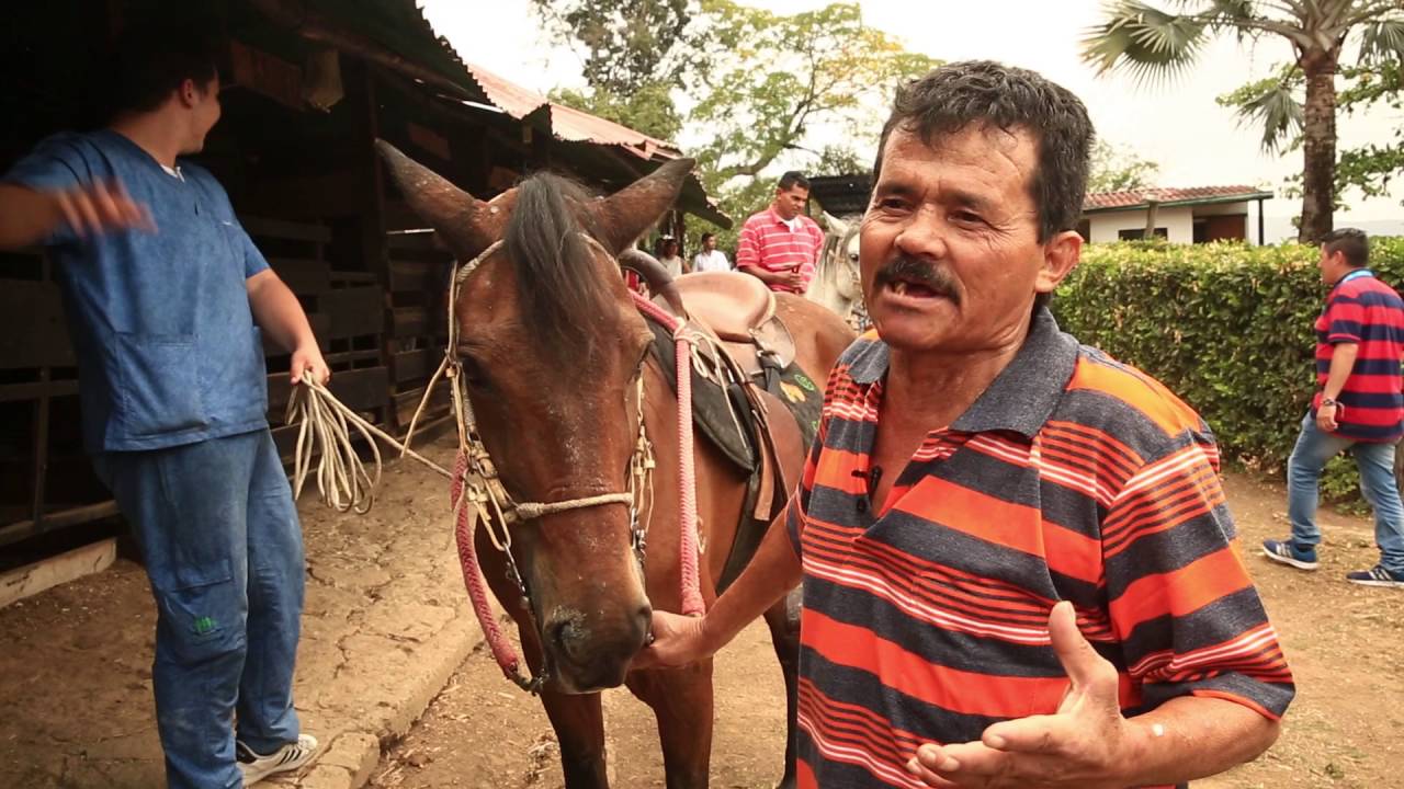 Así ayuda a los habitantes de calle el Gobierno de Enrique Peñalosa alcaldía de bogotá encuesta
