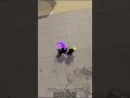 100% Hard Suiryu Combo #roblox #comboes #saitamabattlegrounds #infinitecombo #tsb #fyp #viral