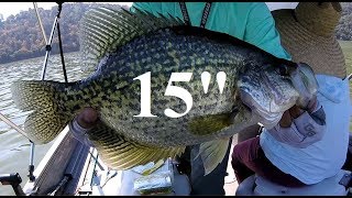 Catching Huge Crappies In Hot August