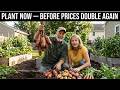 Plant These 11 Foods BEFORE Prices Double Again — Your Family Will Thank You This Winter