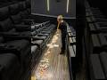 Clean a theater,Find cash #foryou #ytshorts #didyouknow #knowledge #fyp